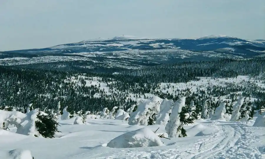 Jizerské hory